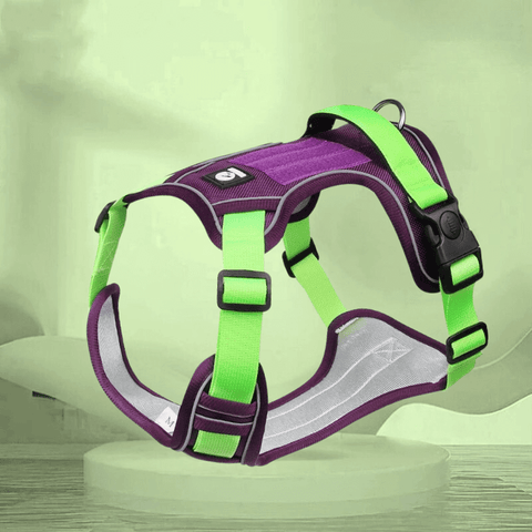 No-Pull Dog Harness with Handle –  Adjustable, Reflective & Secure Fit