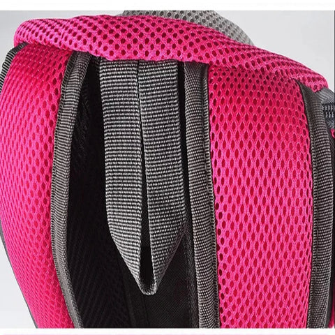 pet backpack