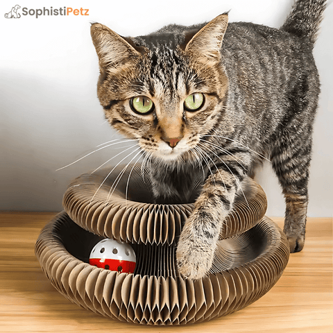 PurrLuxe Interactive Cat Scratcher – Shape-Shifting Ball Track Toy
