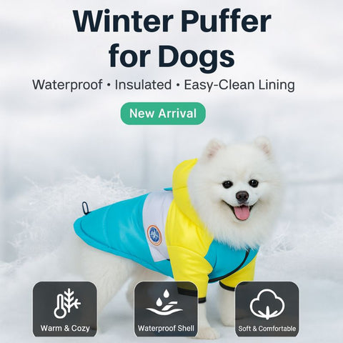 Winter Dog Puffer Jacket — Insulated, Water-Resistant, Snap-Down Hood & D-Ring